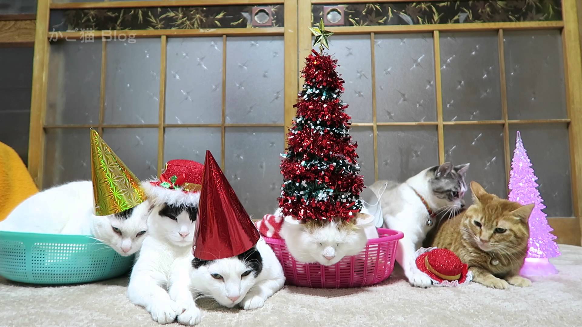 のせ猫 X クリスマス まとめでぃあーんz みんなのおすすめシェアサイト